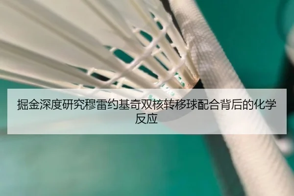 掘金深度研究穆雷约基奇双核转移球配合背后的化学反应